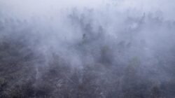 Asap Kebakaran Hutan Indonesia Menyengat Negara Tetangga Asap Kebakaran Hutan Indonesia Menyengat Negara Tetangga