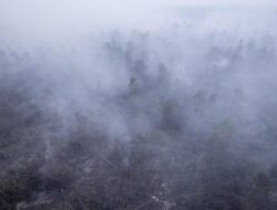 Asap Kebakaran Hutan Indonesia Menyengat Negara Tetangga