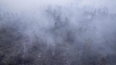 Asap Kebakaran Hutan Indonesia Menyengat Negara Tetangga Asap Kebakaran Hutan Indonesia Menyengat Negara Tetangga