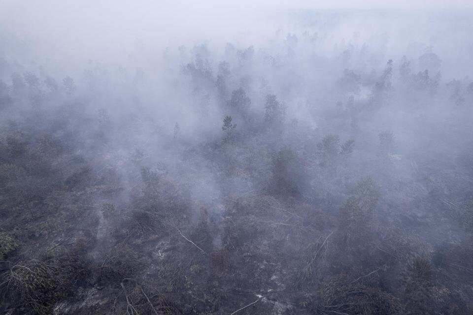 Asap Kebakaran Hutan Indonesia Menyengat Negara Tetangga Asap Kebakaran Hutan Indonesia Menyengat Negara Tetangga