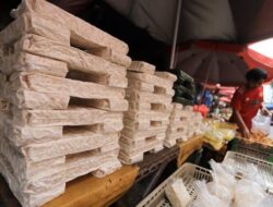 Mendorong Tempe Menembus Pasar Global