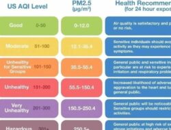 Memahami Indeks Kualitas Udara (AQI) dan Dampaknya