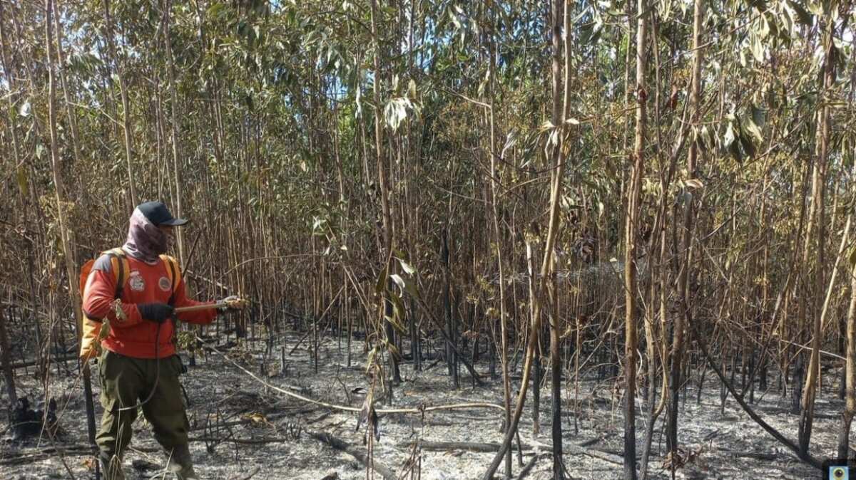 Penyelidikan Korporasi Terkait Karhutla di Banjarbaru