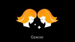 Peluang Karier Baru untuk Zodiak Gemini Peluang Karier Baru untuk Zodiak Gemini
