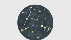 Karier Zodiak Pisces: Peluang Kerja Keras Mulai Dikenali