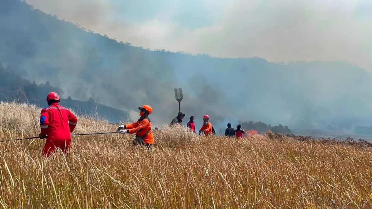 Kedaruratan Kekeringan di Jawa Timur: Dampak dan Tindakan