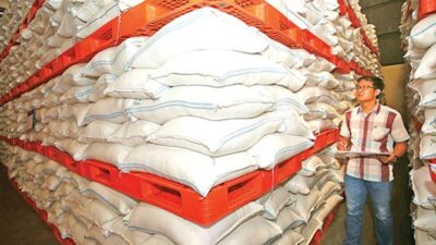 Ketahanan Pangan Indonesia di Tengah Tantangan El Nino