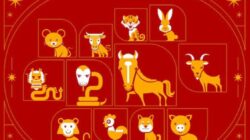 Shio Beruntung: Tiga Shio dengan Cuan Melimpah