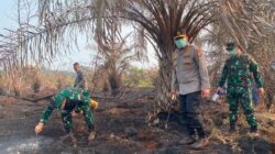 Pencegahan Kebakaran Hutan dan Lahan di Riau Setelah Terbakarnya 5.865 Hektare