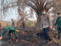 Pencegahan Kebakaran Hutan dan Lahan di Riau Setelah Terbakarnya 5.865 Hektare