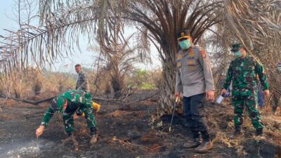 Pencegahan Kebakaran Hutan dan Lahan di Riau Setelah Terbakarnya 5.865 Hektare