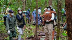 Peningkatan Upaya Penyimpanan Satwa Liar di Tengah Karhutla