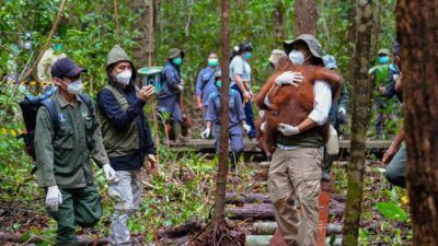 Peningkatan Upaya Penyimpanan Satwa Liar di Tengah Karhutla