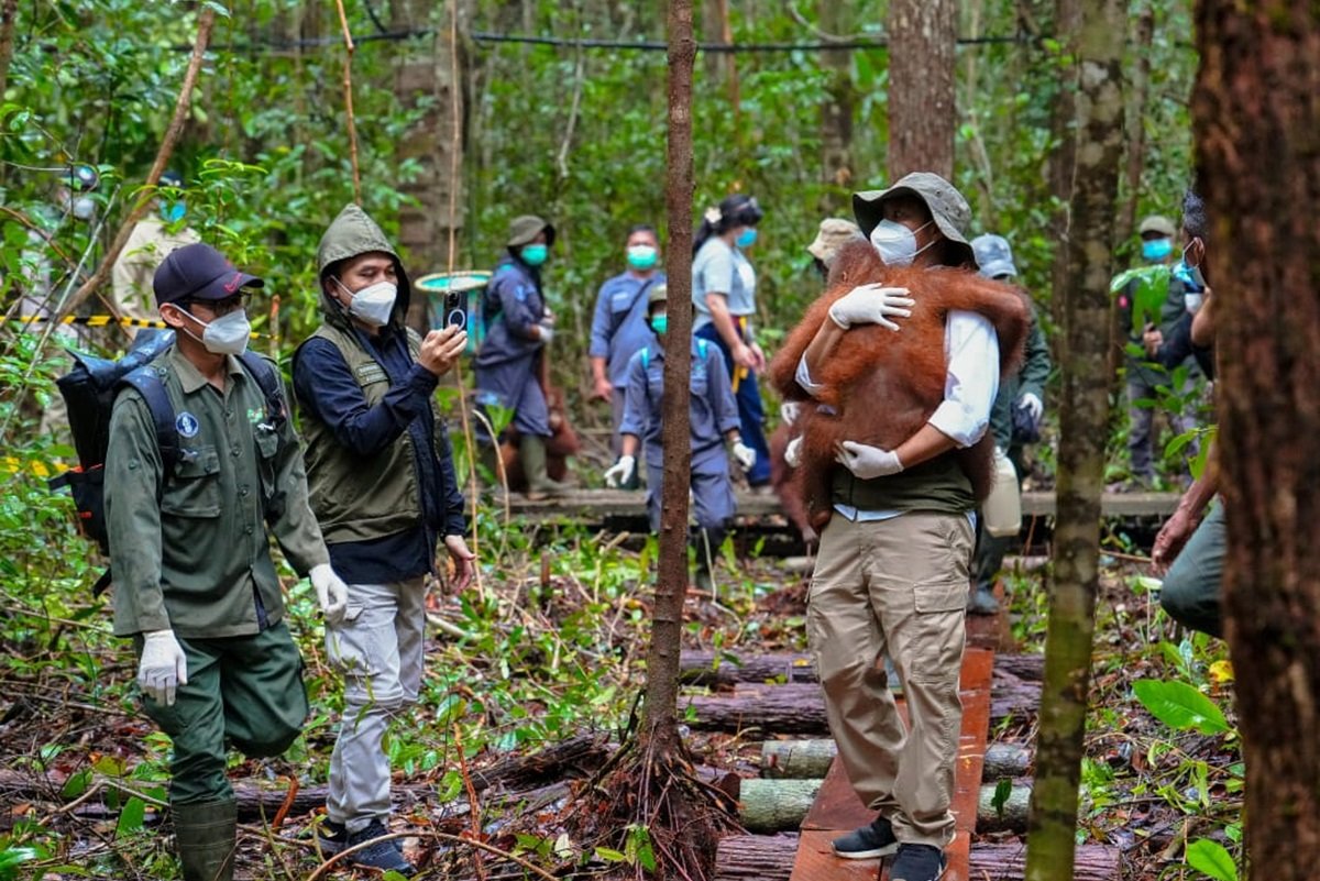 Peningkatan Upaya Penyimpanan Satwa Liar di Tengah Karhutla