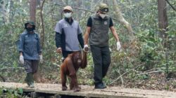 Analisis Anggaran Penanggulangan Bencana di Indonesia