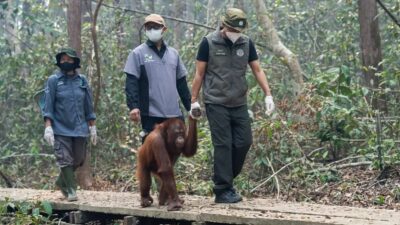 Analisis Anggaran Penanggulangan Bencana di Indonesia