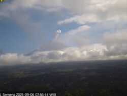 Empat Gunung Api Indonesia Meletus Bersamaan: Fenomena dan Dampaknya