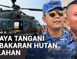Kebakaran Hutan dan Lahan: Upaya Penanganan Terkini
