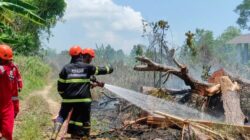 Satgas Anti Kebakaran Hutan di Pangkalpinang