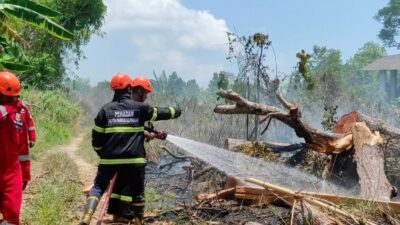 Satgas Anti Kebakaran Hutan di Pangkalpinang
