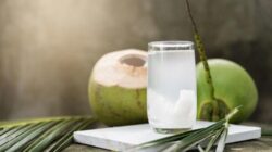 Efek diuretik Air Kelapa dan Manfaat Kesehatannya