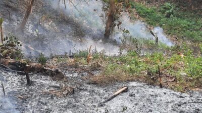 Kebakaran Hutan Dekat TPA Sarimukti: Dugaan Penyebab dan Upaya Pemadaman
