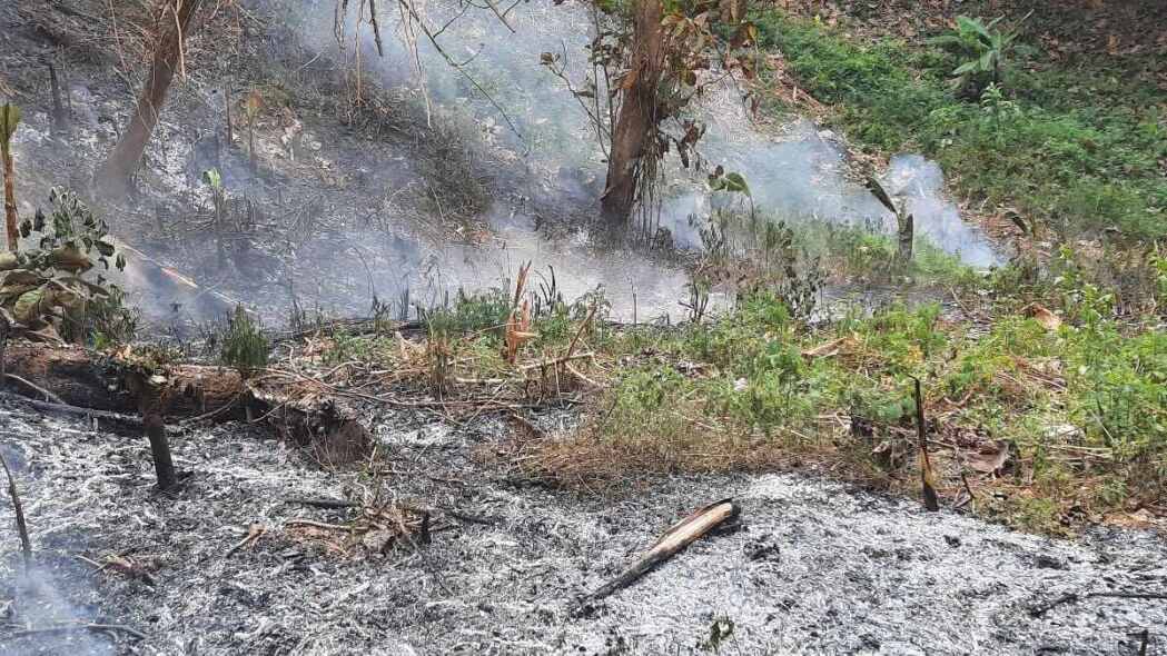 Kebakaran Hutan Dekat TPA Sarimukti: Dugaan Penyebab dan Upaya Pemadaman