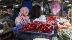 Kenaikan Harga Cabai Rawit: Dampak Musim Kemarau dan Biaya Distribusi