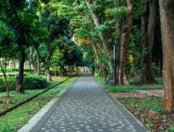 Menikmati Malam di Taman Jakarta yang Terbuka 24 Jam
