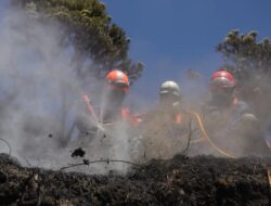 Kebakaran Hutan di Taman Nasional Bromo Tengger Semeru