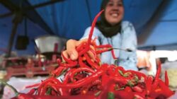 Strategi Pemerintah Menjaga Stabilitas Harga Cabai Rawit
