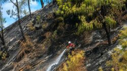 Taktik Efektif BPBD Jatim Atasi Kebakaran Hutan di Gunung Bromo