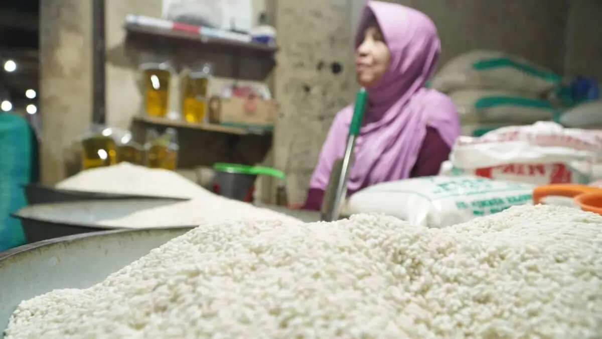 Pemerintah Pastikan Stok Beras Aman Hadapi Musim Kemarau