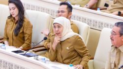 Penguatan Peran Lahan Pertanian dalam Proses Industrialisasi
