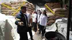 Dukungan Pemprov Jakarta untuk Penegakan Hukum dalam Penyelundupan Kacang Tanah