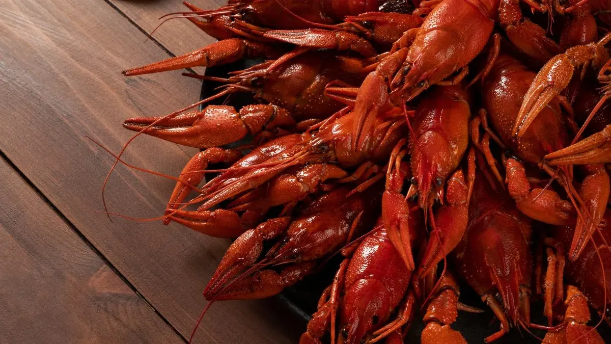 Petugas memastikan seluruh benih bening lobster tersebut telah diamankan untuk kepentingan proses penyidikan lebih lanjut