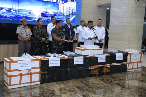 Polri Ungkap Jaringan Penyelundupan Baby Lobster Lintas Negara, Dua Pelaku Ditangkap