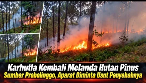Kebakaran Hutan Pinus Berulang di Kecamatan Sumber, Siapa yang Bertanggung Jawab?