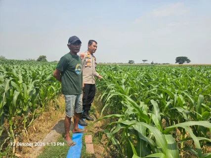 Dukung Ketahanan Pangan, Polsek Kunjang Ikut Kawal Hasil Panen Jagung