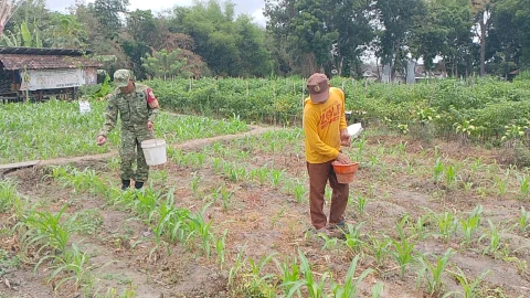 Dukung Hanpangan Nasional, Babinsa Sananwetan Turun Ke Lahan Bantu Petani Lakukan Pemupukan Jagung