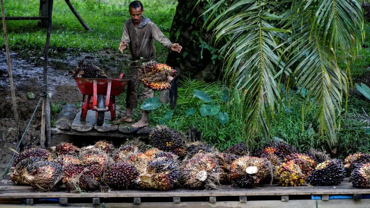 BPDP Ajak Mahasiswa Kembangkan Bisnis dari Komoditas Perkebunan