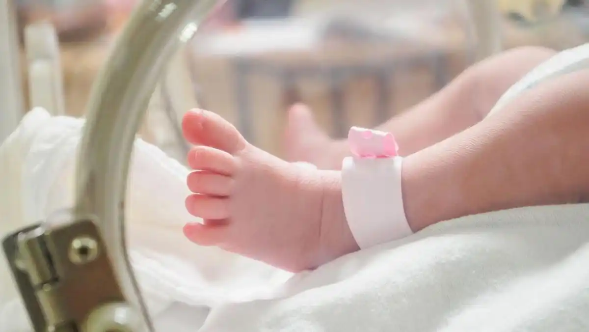 Bayi Alena Meninggal Setelah Dirawat Intensif, Dugaan Pemberian Telur Mentah Disorot
