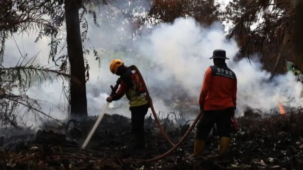 Upaya Pemadaman Karhutla Tanjung Puting Diperkuat di Tengah Kendala Kabut Asap