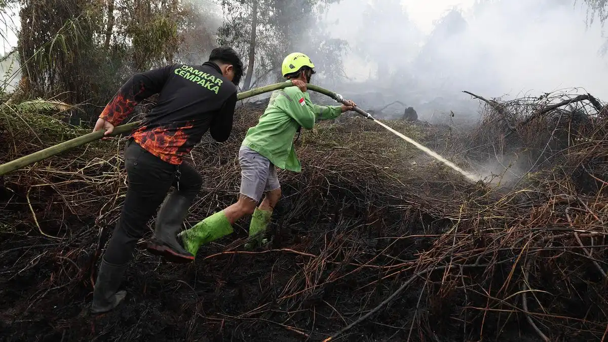 Karhutla Masih Melanda Enam Provinsi, 639,23 Hektare Lahan Terbakar