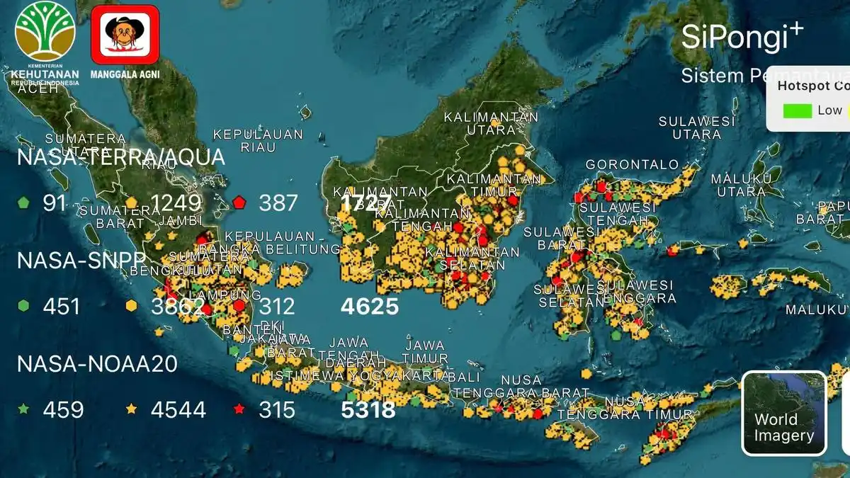 Karhutla Berulang di Tujuh Provinsi, Penanganan Kalteng dan Sumsel Masih Berlangsung