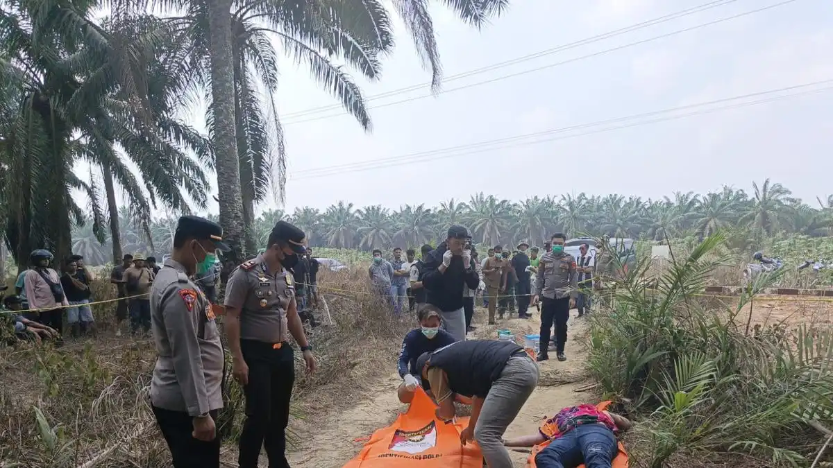 Identitas Yulia Terungkap, Polisi Tunggu Hasil Autopsi di Kebun Sawit Mesuji