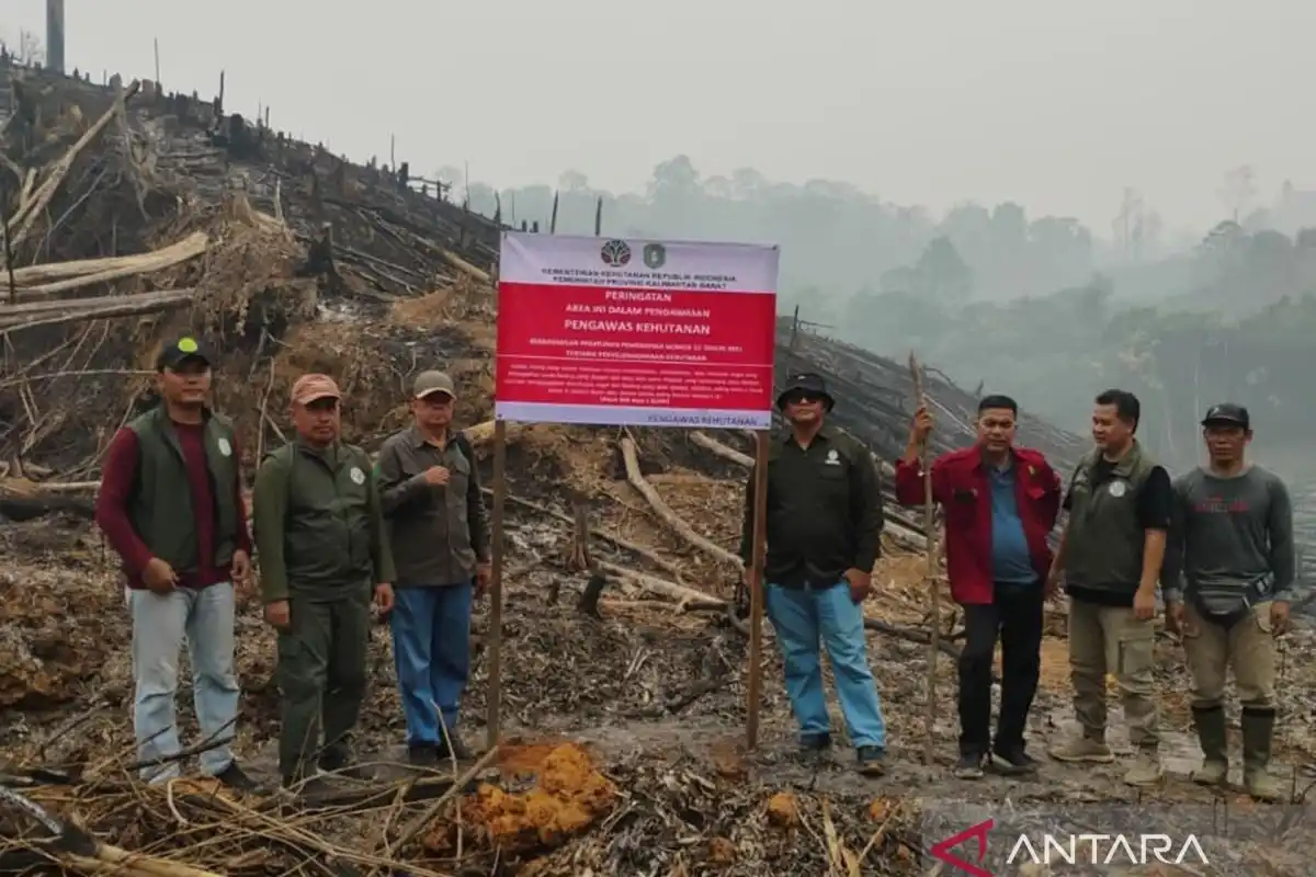 Kesiapan Pengendalian Karhutla di Konsesi Ketapang Utara Jadi Sorotan