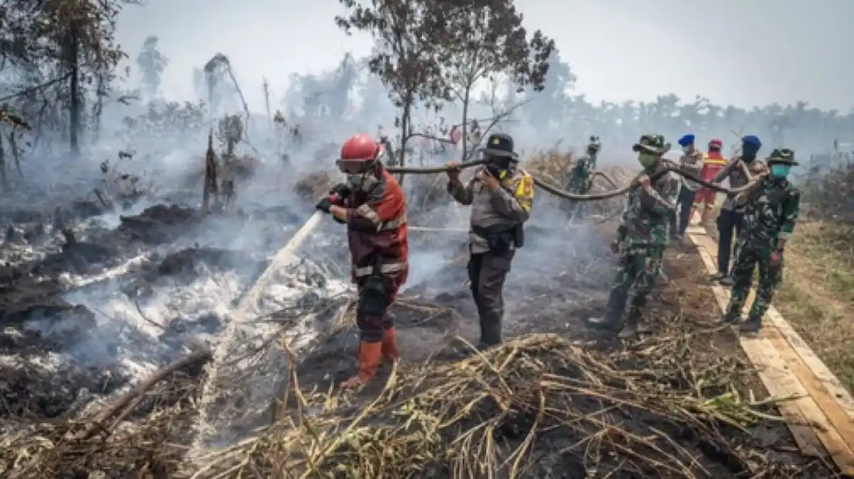 Penanganan Karhutla Mengarah ke Korporasi, Polri Dalami Peran Perusahaan