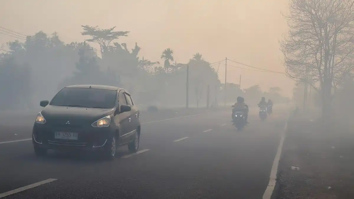 Prakiraan BMKG: Hujan Berpeluang Turun di Sejumlah Kota Indonesia