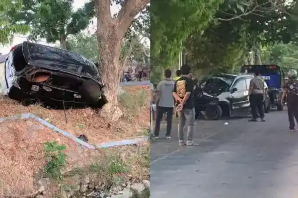 Mobil Xenia Tabrak Pohon di Bojonegoro, Pengemudi Meninggal di Lokasi
